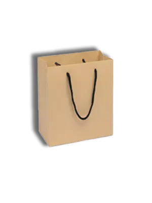 Brown Paper Take Away Bags F4