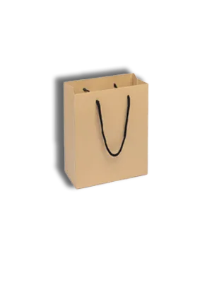 Brown-Paper-Take-Away-Bags