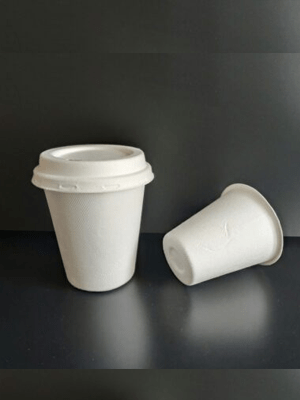 12 oz Sugarcane Bagasse Coffee cup with lids